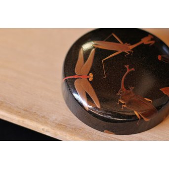 虫蒔絵 平棗　Q028 