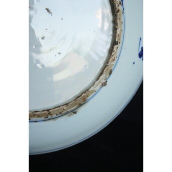 花文 古染付 7寸皿　P062 