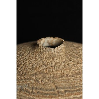 松井康成 練上嘯裂文壷　P066 