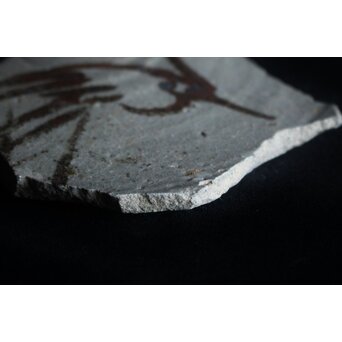 絵唐津 陶片　P072 