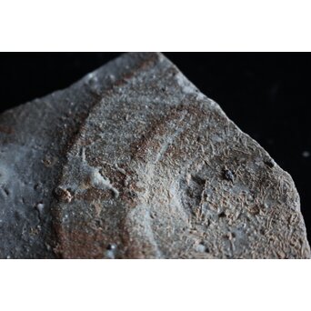 絵唐津 陶片　P072 