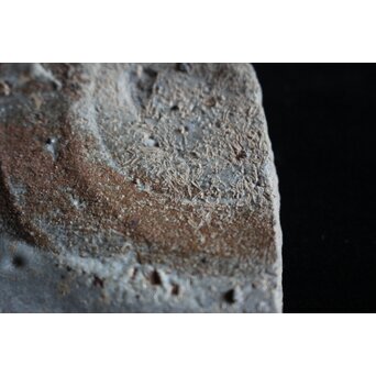 絵唐津 陶片　P072 