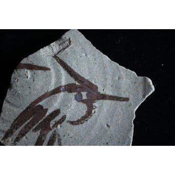 絵唐津 陶片　P072 