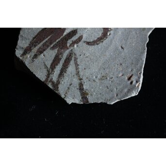 絵唐津 陶片　P072 