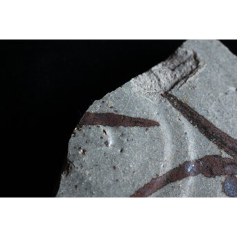 絵唐津 陶片　P072 