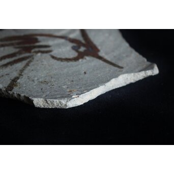 絵唐津 陶片　P072 