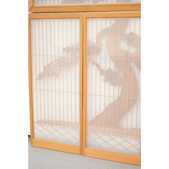 鷹松木彫 書院欄間5枚1組　R2356 