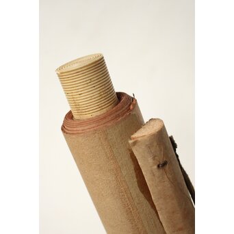 倣 鈴木其一 秋草掛軸　Z057 