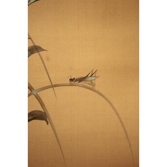 倣 鈴木其一 秋草掛軸　Z057 