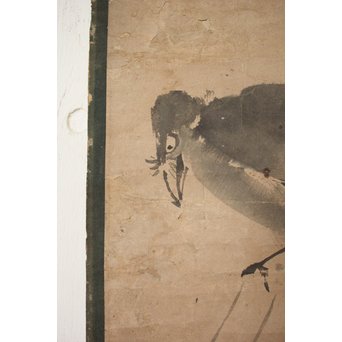 倣 白隠慧鶴 鳥図掛軸　Z058 