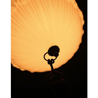 プレスガラス電笠　A1921 