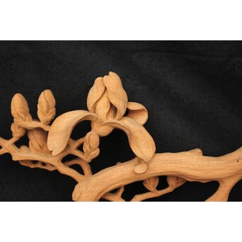 大島五雲 井波彫刻大作 桜と木蓮 2枚1組　X090Y 