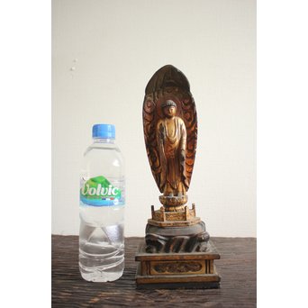 阿弥陀如来立像　X101Y 