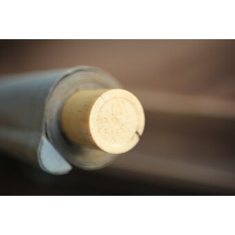 倣 円山応挙 四条派 双犬之図　Z073 