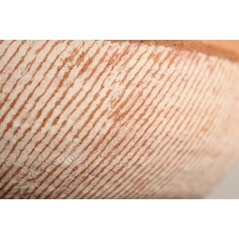 未完成作品 島岡達三 素焼き 猪口/菓子皿 2枚1組　P101 