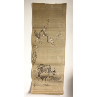 鶴澤探鯨 狩野派 まくり 彩色 絹本『牛』　Z076