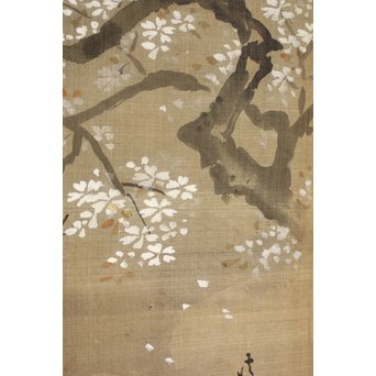 鶴澤探鯨 狩野派 まくり 彩色 絹本『馬』　Z078 