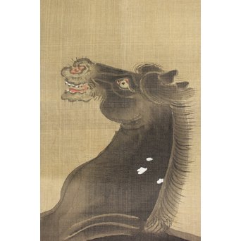 鶴澤探鯨 狩野派 まくり 彩色 絹本『馬』　Z078 