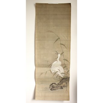 鶴澤探鯨 狩野派 まくり 彩色 絹本『白鷲』　Z079