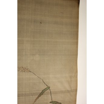 鶴澤探鯨 狩野派 まくり 彩色 絹本『白鷲』　Z079 