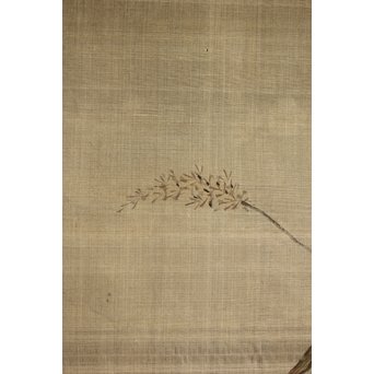 鶴澤探鯨 狩野派 まくり 彩色 絹本『白鷲』　Z079 