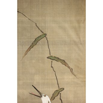 鶴澤探鯨 狩野派 まくり 彩色 絹本『白鷲』　Z079 