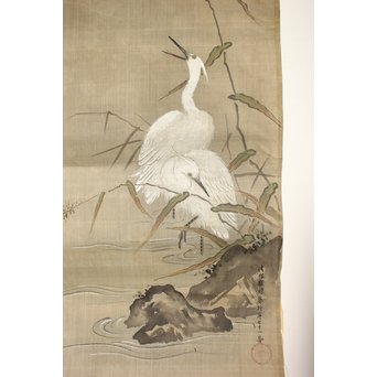 鶴澤探鯨 狩野派 まくり 彩色 絹本『白鷲』　Z079 