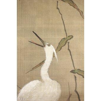 鶴澤探鯨 狩野派 まくり 彩色 絹本『白鷲』　Z079 