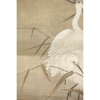 鶴澤探鯨 狩野派 まくり 彩色 絹本『白鷲』　Z079 