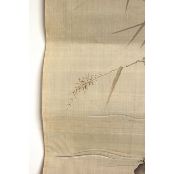 鶴澤探鯨 狩野派 まくり 彩色 絹本『白鷲』　Z079 