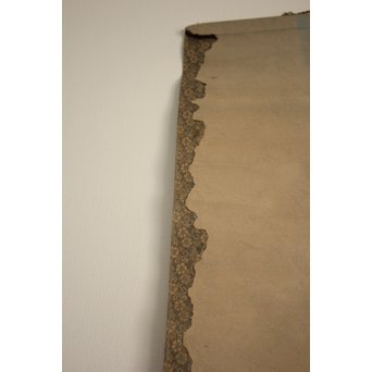 鼠一匹 掛軸　Z085 