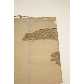 鼠一匹 掛軸　Z085 