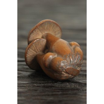 伊勢の正直 茸黄楊根付　X106 