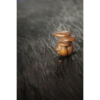 伊勢の正直 茸黄楊根付　X106