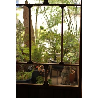 アールデコ調 白木クリアガラス戸　GD1214