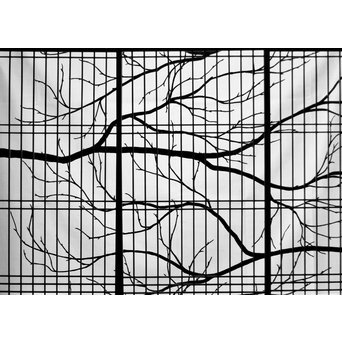 デッドストック 白木建具部材 組子書院 4枚1組　R2446