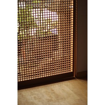 木連格子(升格子) 障子戸　F218Y