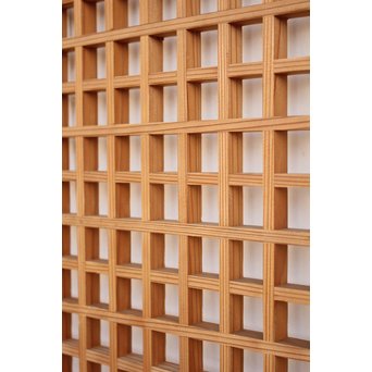 木連格子(升格子) 障子戸　F218Y 