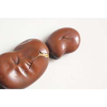 彫金家 桂光春【炒豆】素銅目貫　M116 