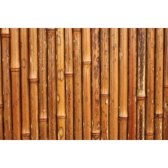 支那竹 斑竹 特大ダイアガラス戸 2枚1組　GD1220YD 