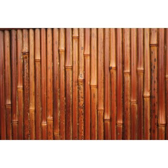 支那竹 斑竹 特大ダイアガラス戸 2枚1組　GD1220YD 