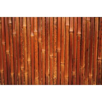 支那竹 斑竹 特大ダイアガラス戸 2枚1組　GD1220YD 