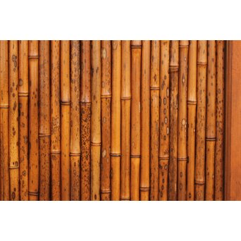 支那竹 斑竹 特大ダイアガラス戸 2枚1組　GD1220YD 