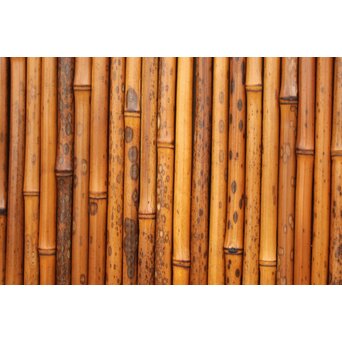 支那竹 斑竹 特大ダイアガラス戸 2枚1組　GD1220YD 