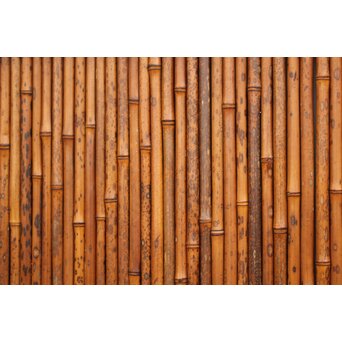 支那竹 斑竹 特大ダイアガラス戸 2枚1組　GD1220YD 