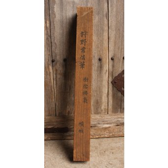 倣 狩野常信【樹陰棲梟】水墨掛軸　Z091 