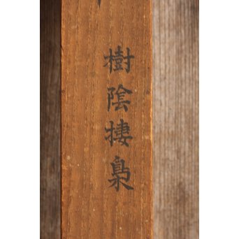 倣 狩野常信【樹陰棲梟】水墨掛軸　Z091 