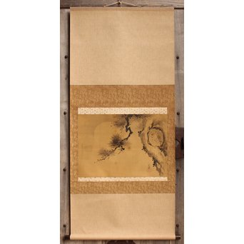 倣 狩野常信【樹陰棲梟】水墨掛軸　Z091 