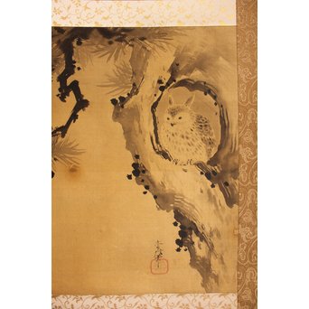 倣 狩野常信【樹陰棲梟】水墨掛軸　Z091 