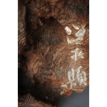 古木瘤木 篆刻看板　X118 